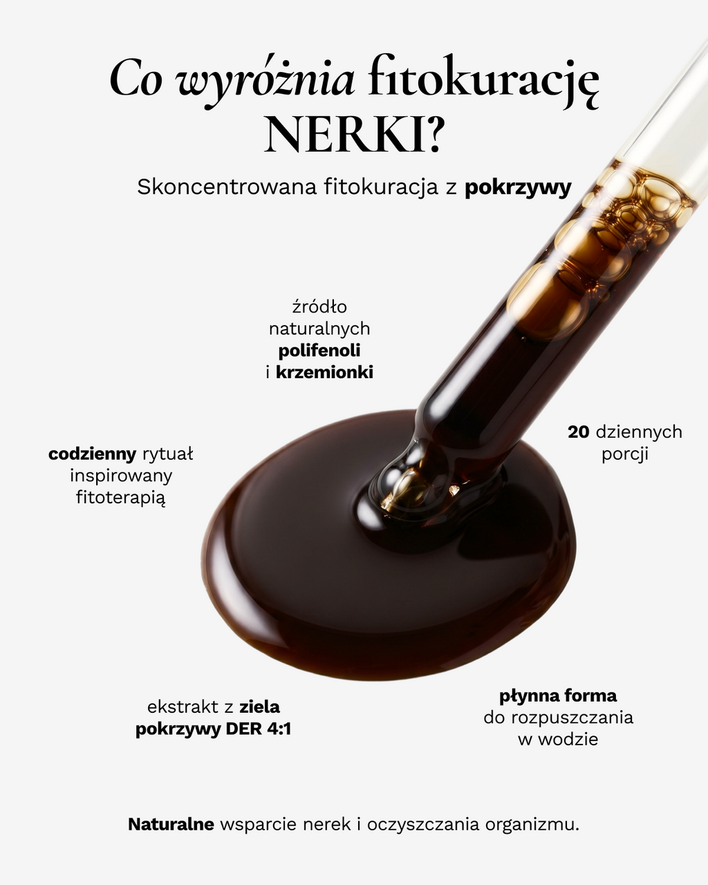 Zestaw Fitokuracja pitna oczyszczająca - Nerki