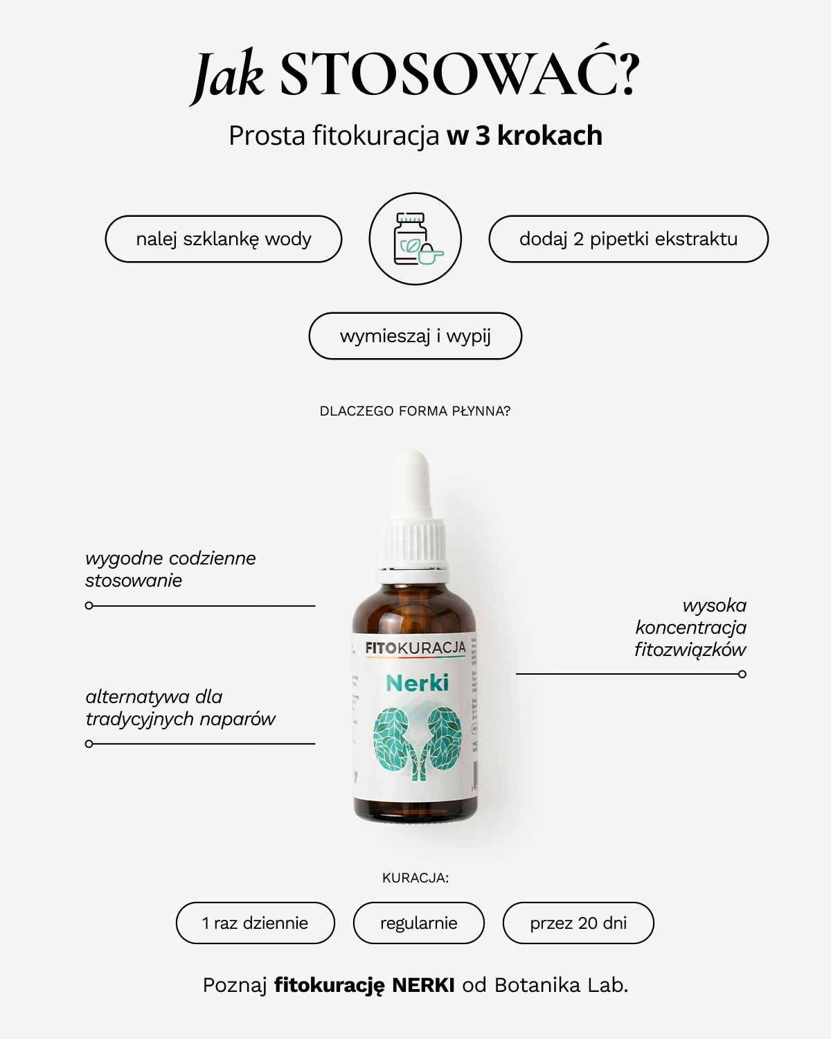 Fitokuracja pitna oczyszczająca - Nerki