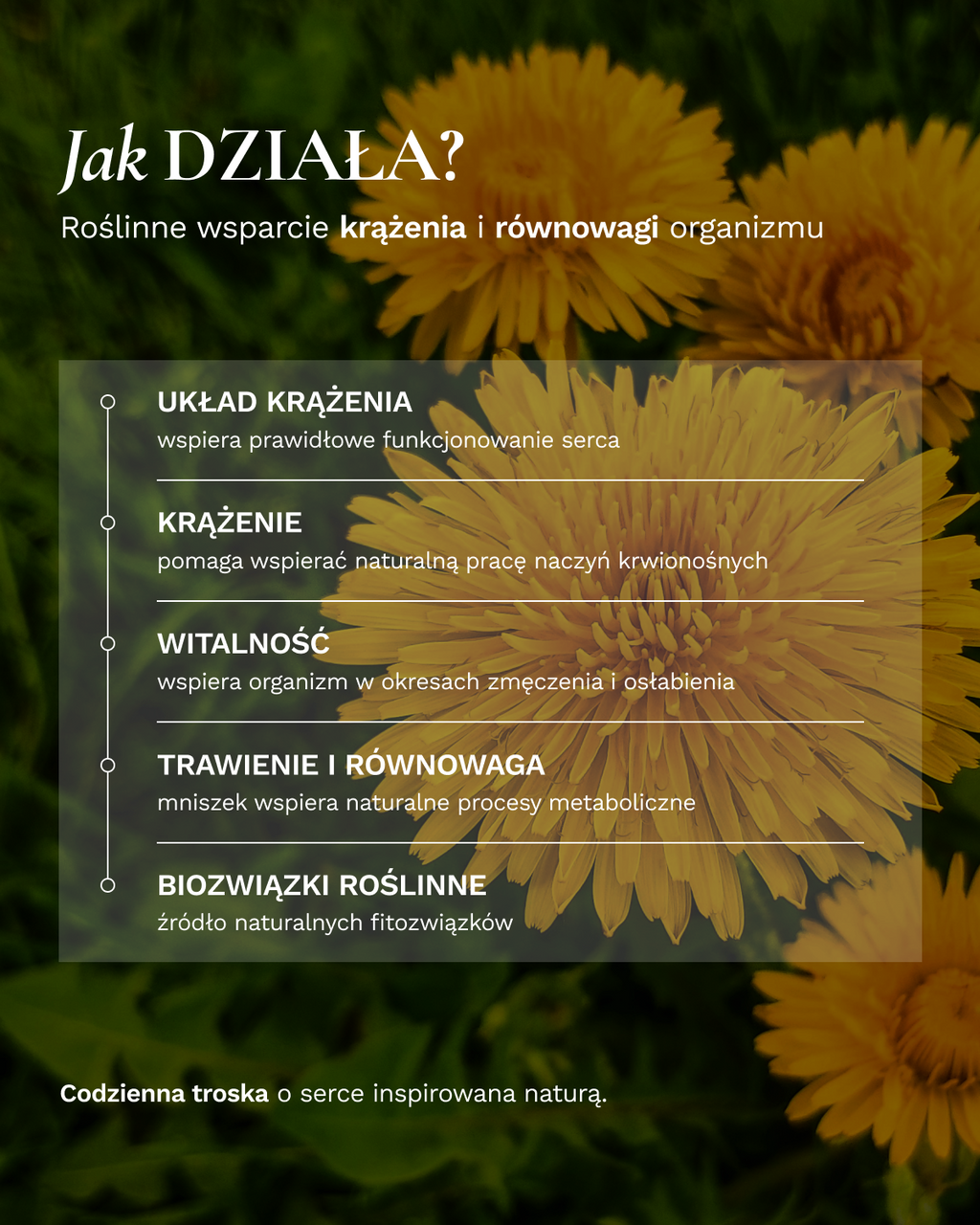 Zestaw Fitokuracja pitna wzmacniająca - Serce