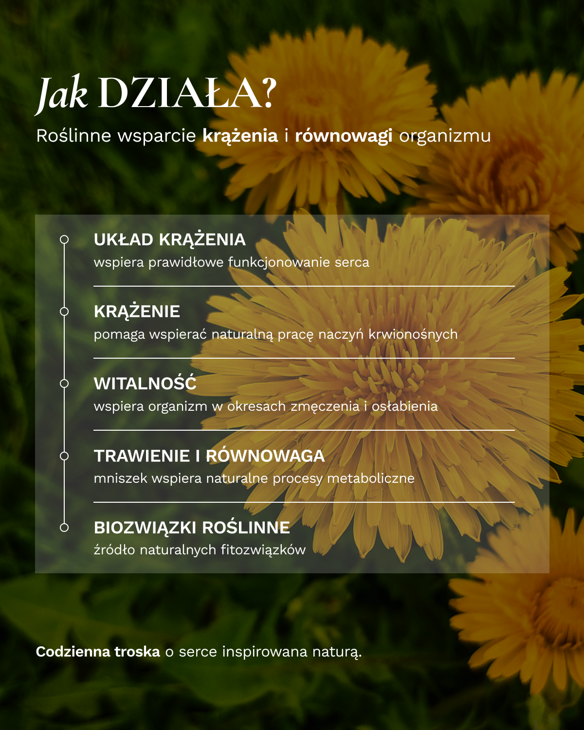 Fitokuracja pitna wzmacniająca - Serce