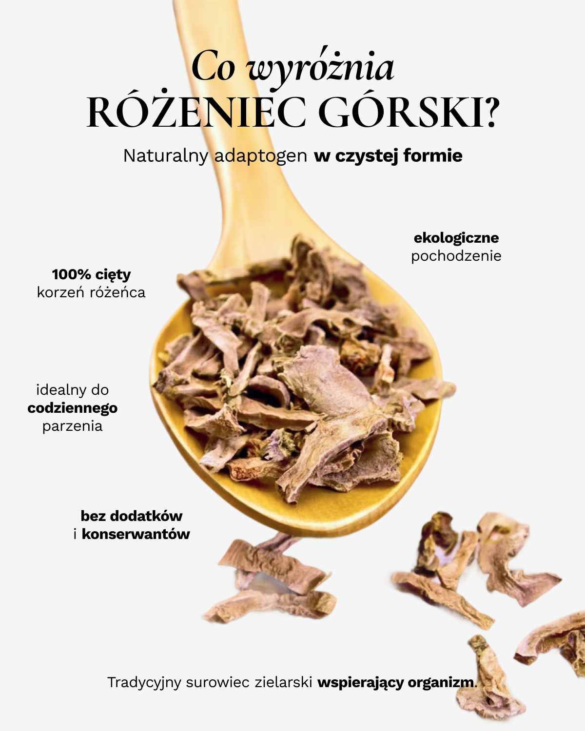 Różeniec Górski korzeń 100g