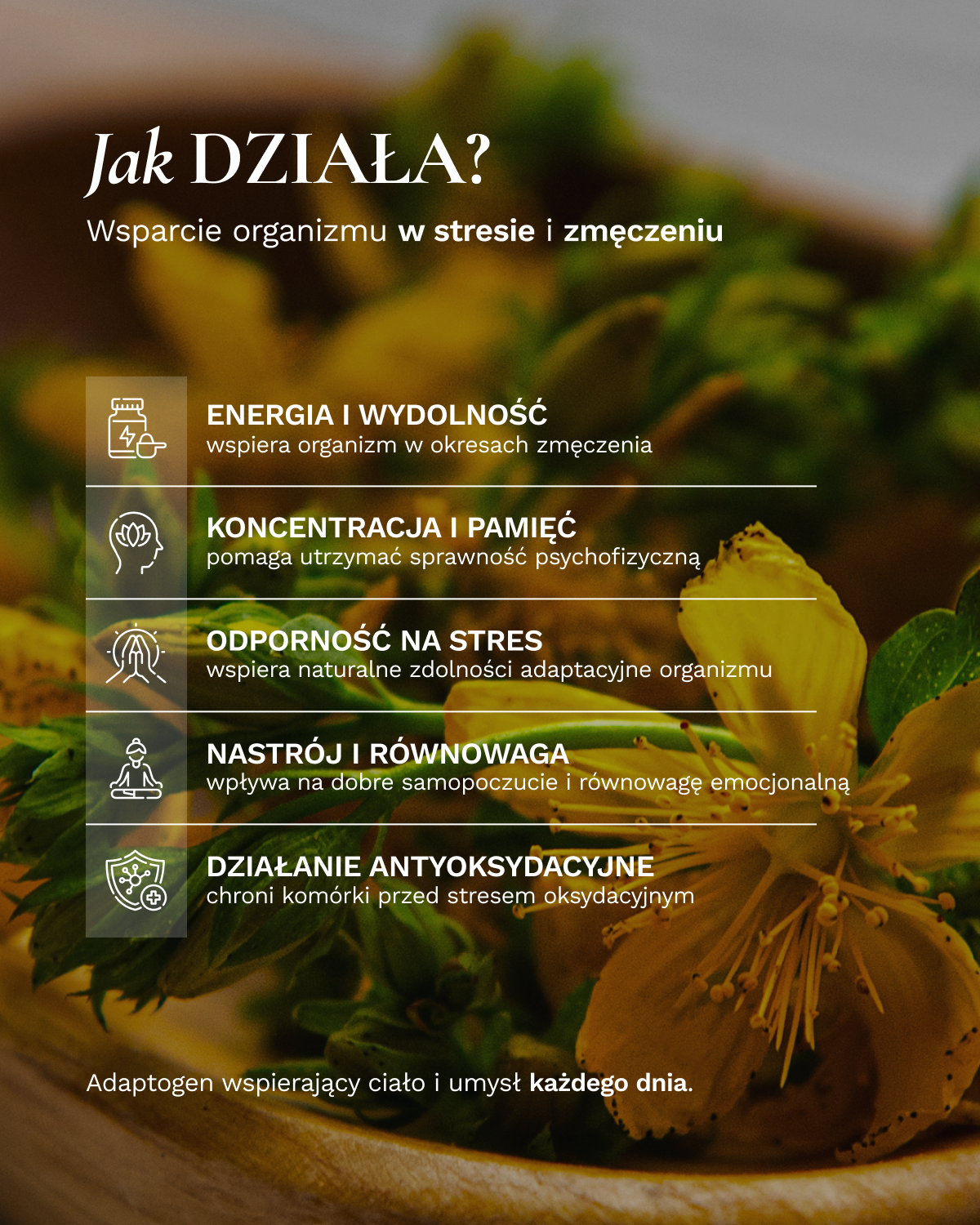 Różeniec górski - 50 ml