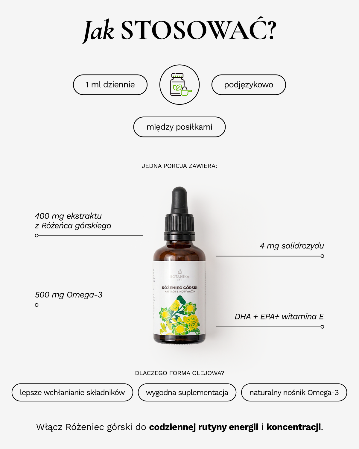 Różeniec górski - 50 ml
