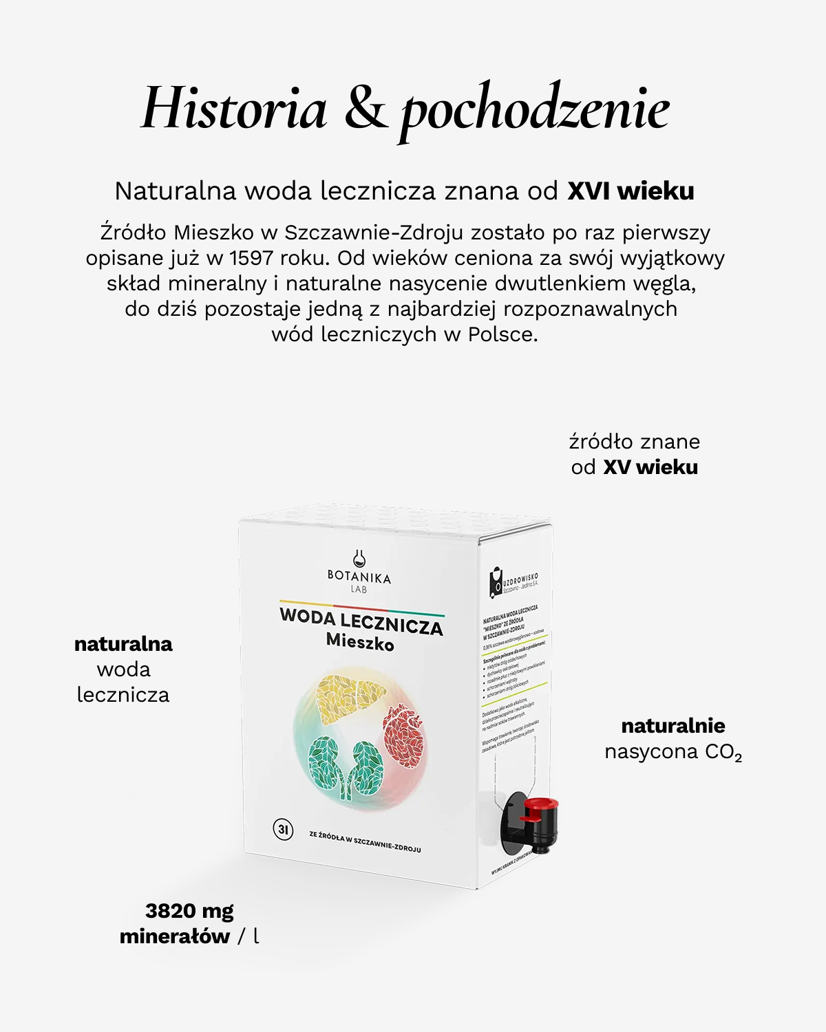 Woda lecznicza ze źródła Mieszko w Szczawnie-Zdroju 3L