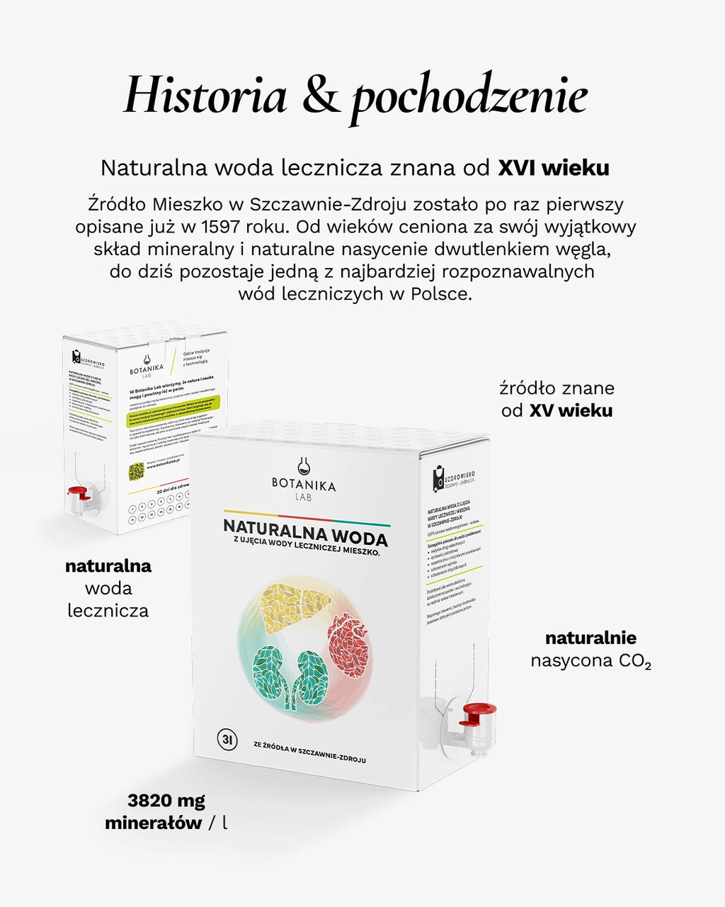 Woda lecznicza ze źródła Mieszko w Szczawnie-Zdroju 3L