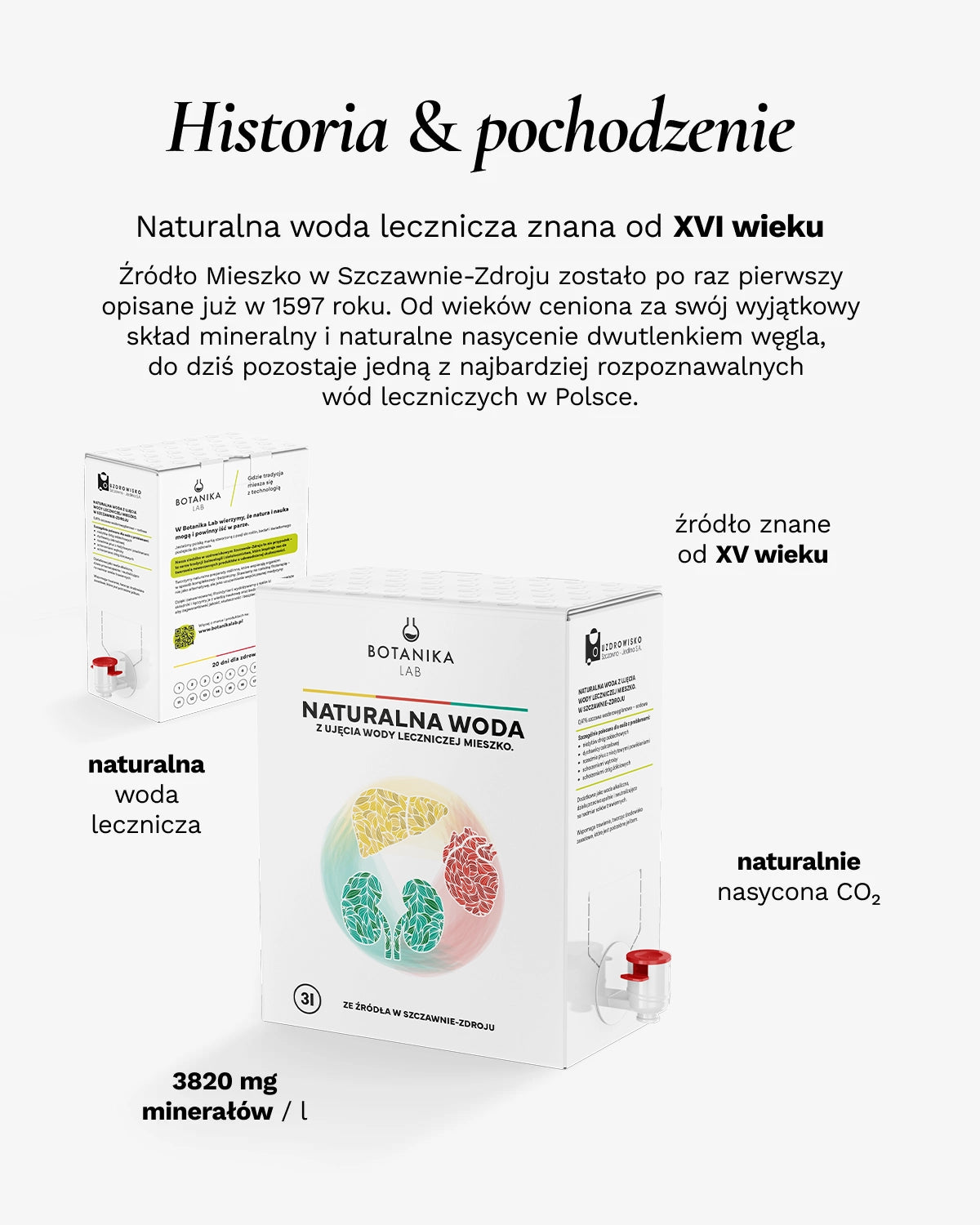 Woda lecznicza ze źródła Mieszko w Szczawnie-Zdroju 3L