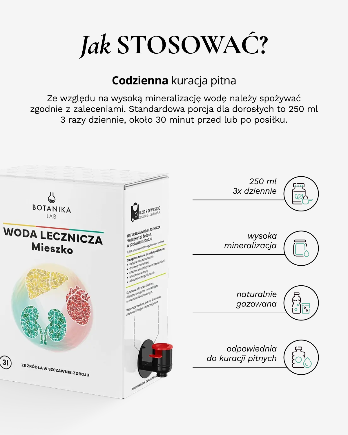 Woda lecznicza ze źródła Mieszko w Szczawnie-Zdroju 3L