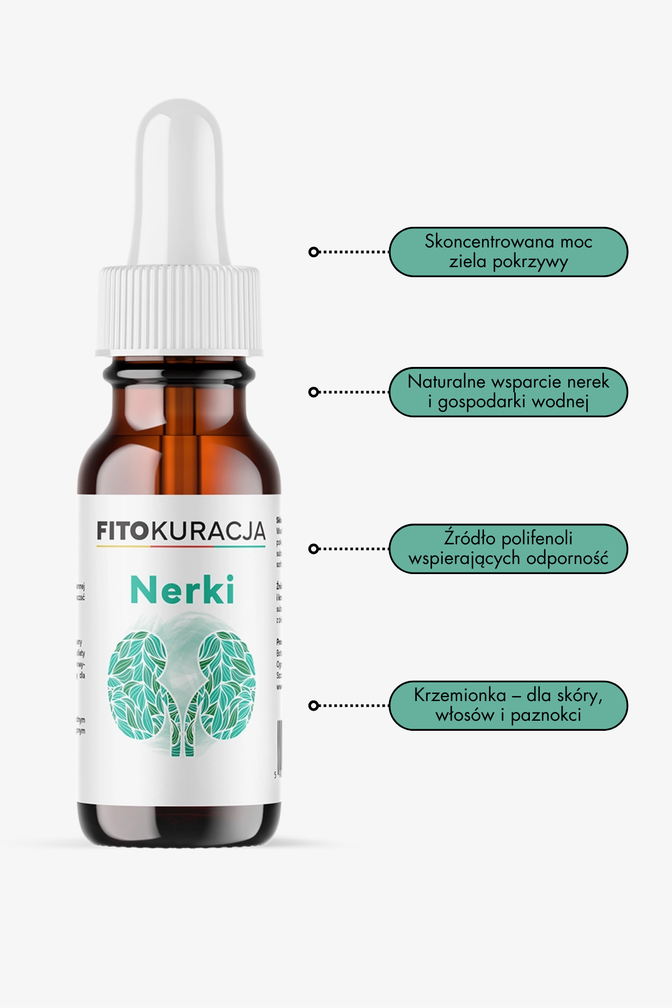 Fitokuracja pitna oczyszczająca - NERKI fito_nerki