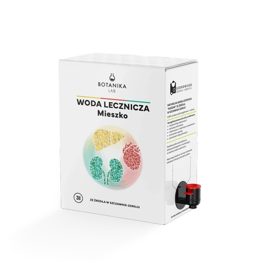 Woda lecznicza ze żródła Mieszko w Szczawnie-Zdroju 3 L 